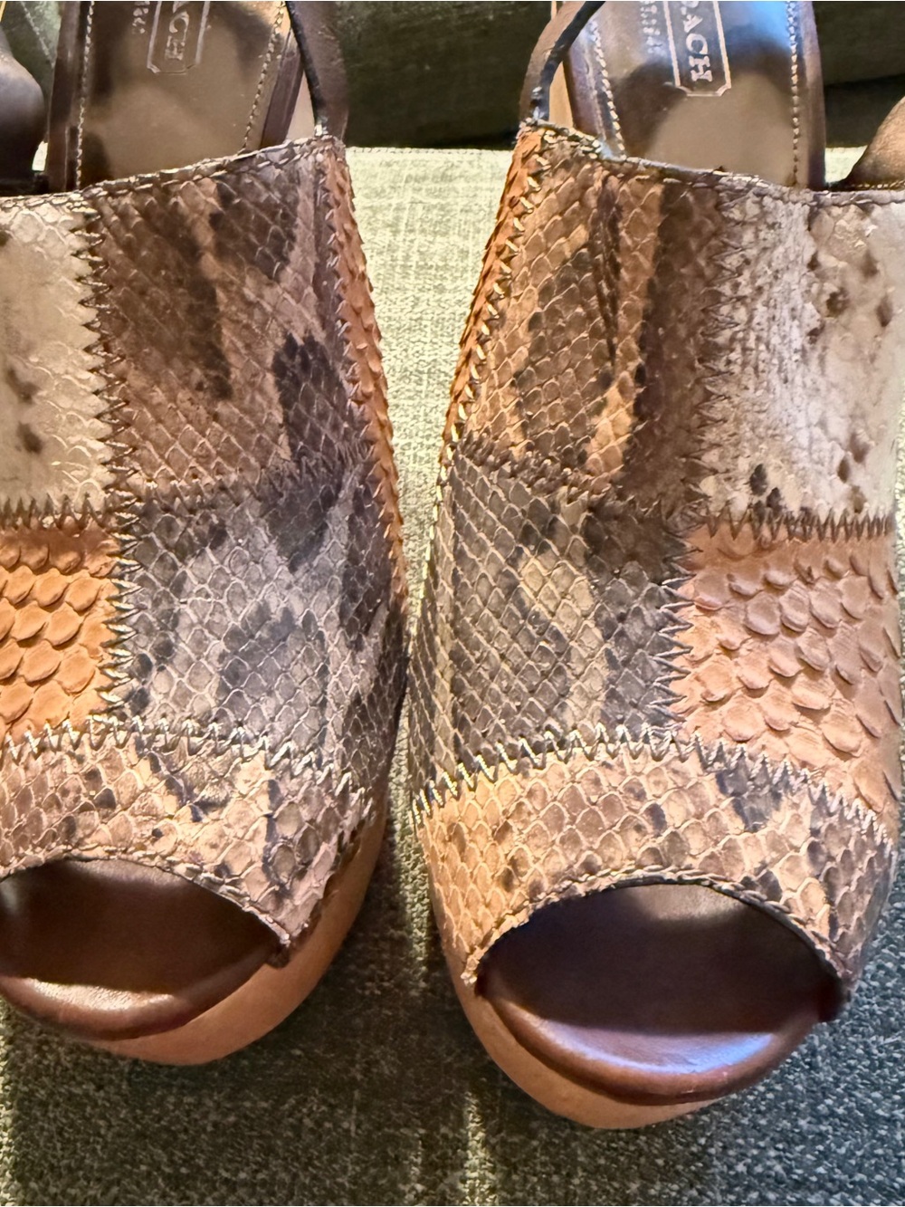 Rare Coach Petrina Patchwork Snakeskin Platform Slingback Heels 8.5B - NWOT - Picture 2 of 12